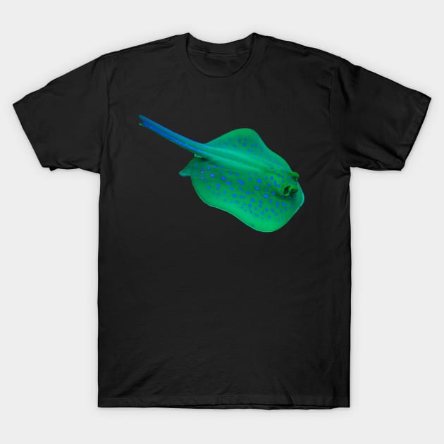 STINGRAY T-Shirt by likbatonboot